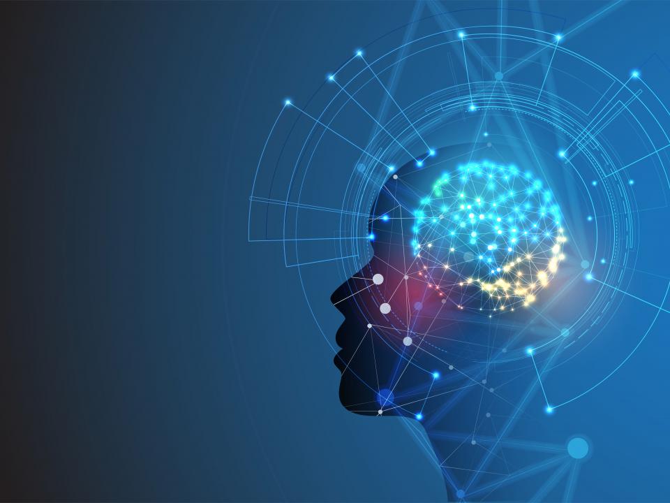 Illustration of brain waves