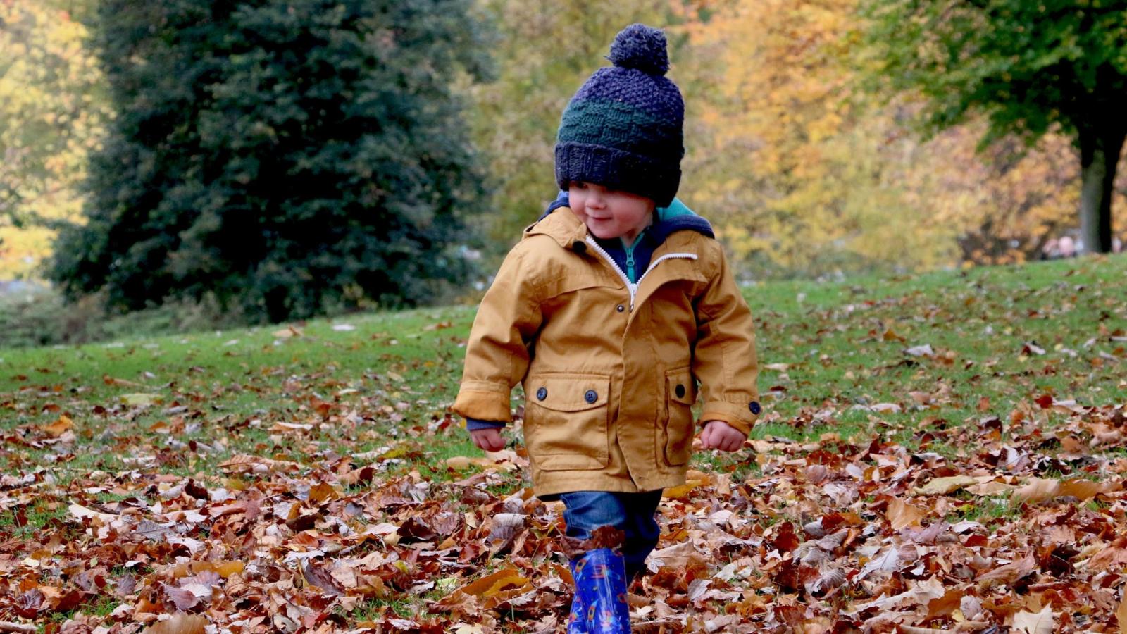 Toddler with wooly hat, rain jacket and rain boots walking in autumn leaves in a park